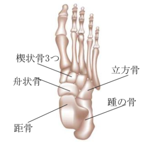 足部の構造、三角骨障害、有痛性外脛骨の治療、バレエ治療院あんじゅ