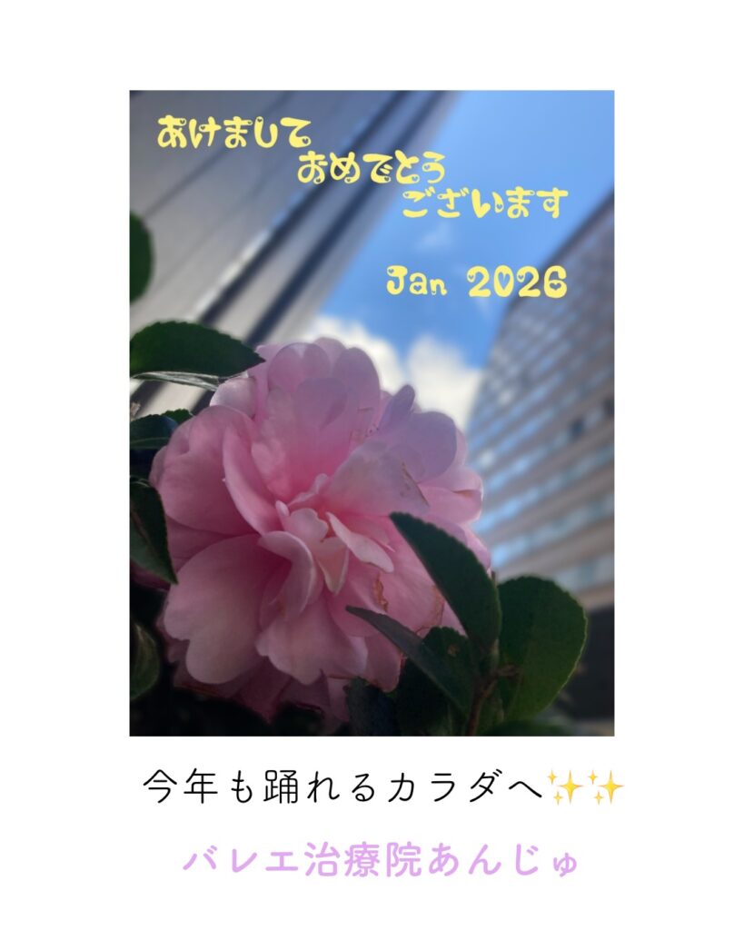 バレエ治療院あんじゅ、バレエ・ダンス専門治療院